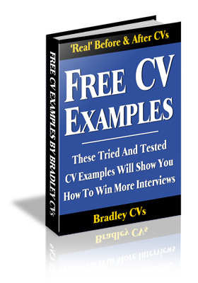 To get these free CV examples, please enter your name and email address in the form.